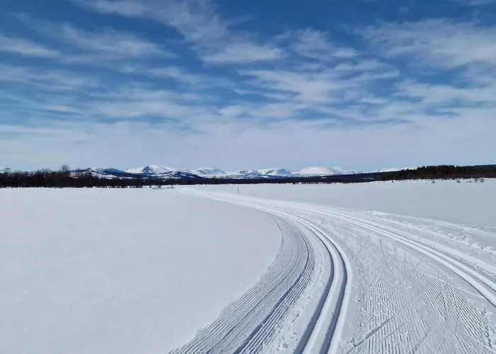 Apartmán Family-friendly For Rent At Golsfjellet