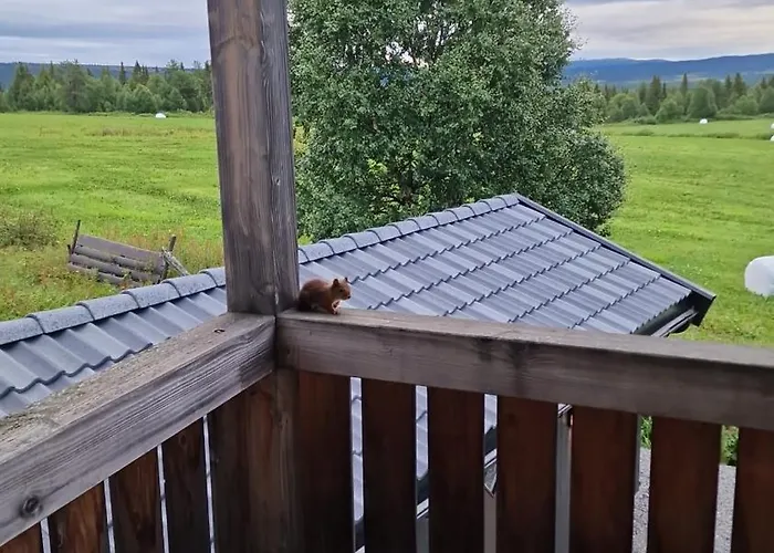 Family-friendly For Rent At Appartement